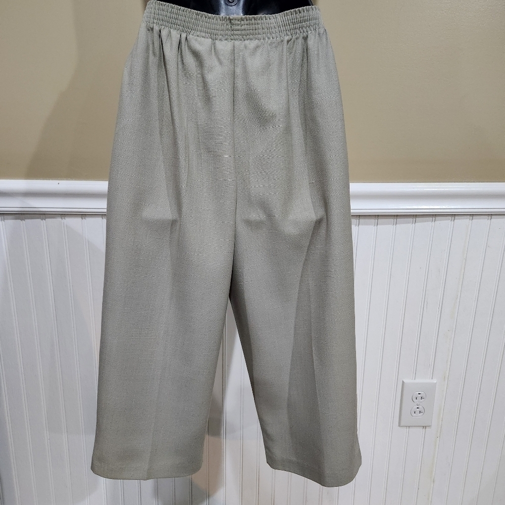 Covington Womens Tan Casing Waistband with Pockets Crop Pants Size 8P - Picture 2 of 10